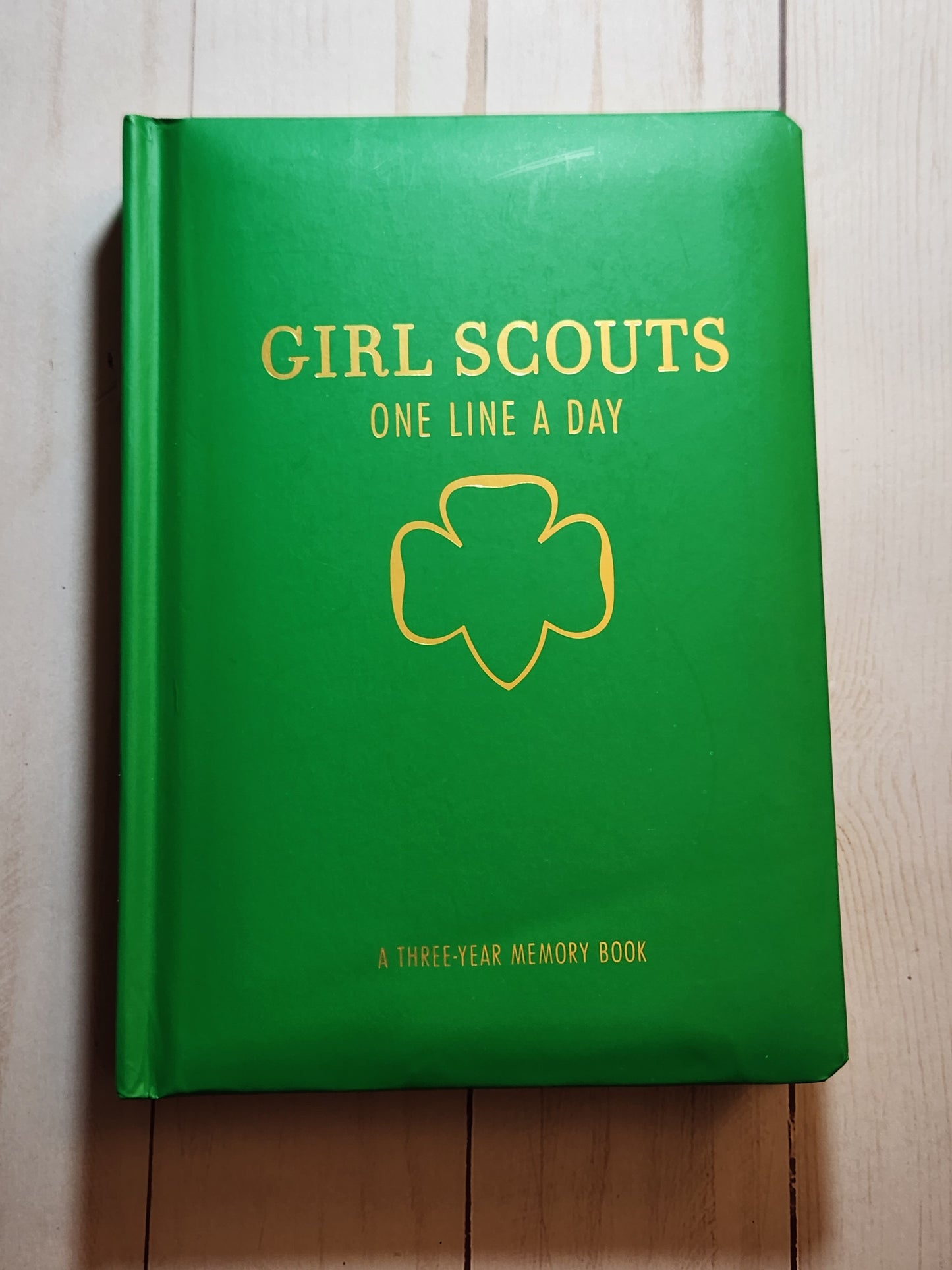 Girl Scout Line A Day Journal