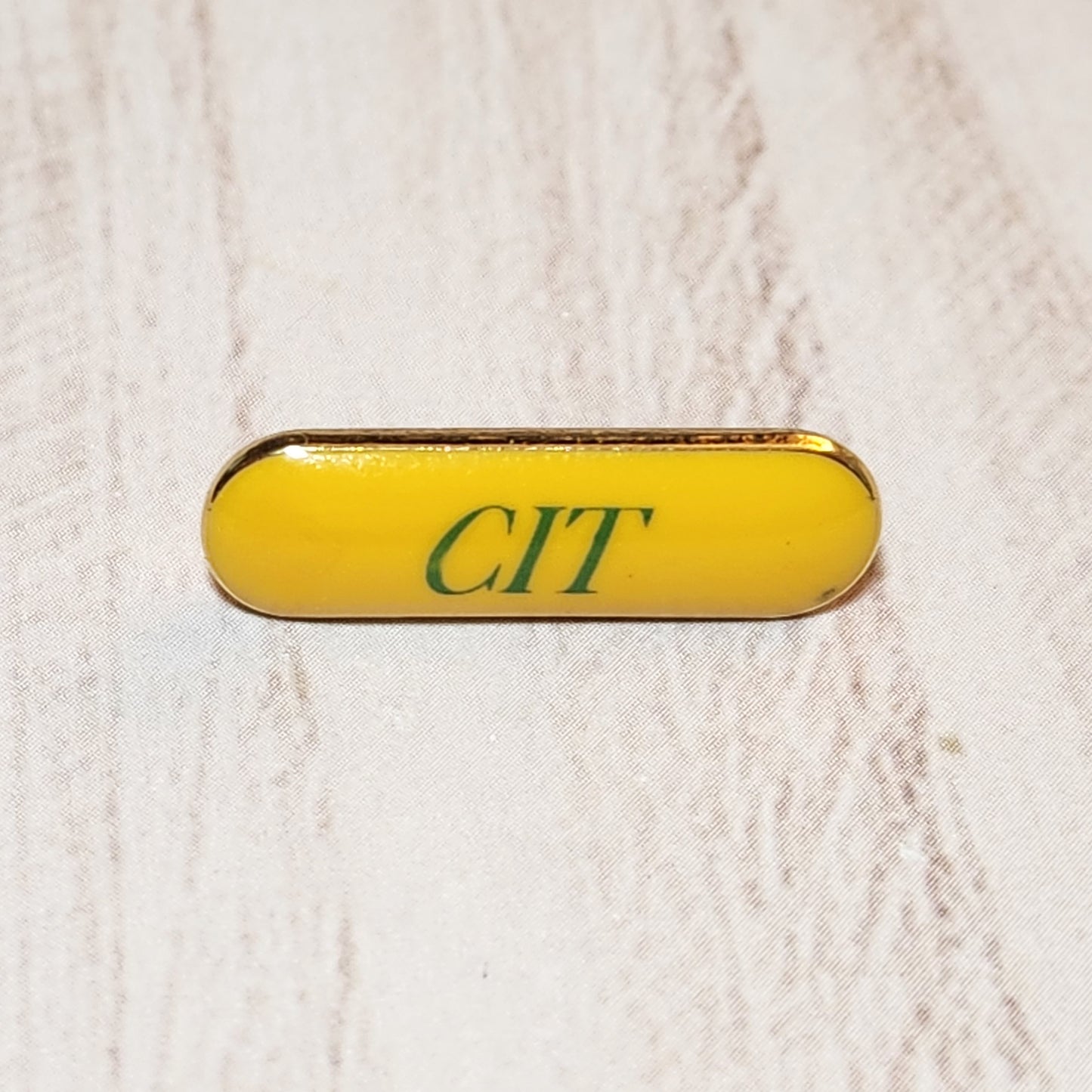 Counselor In Training Pin