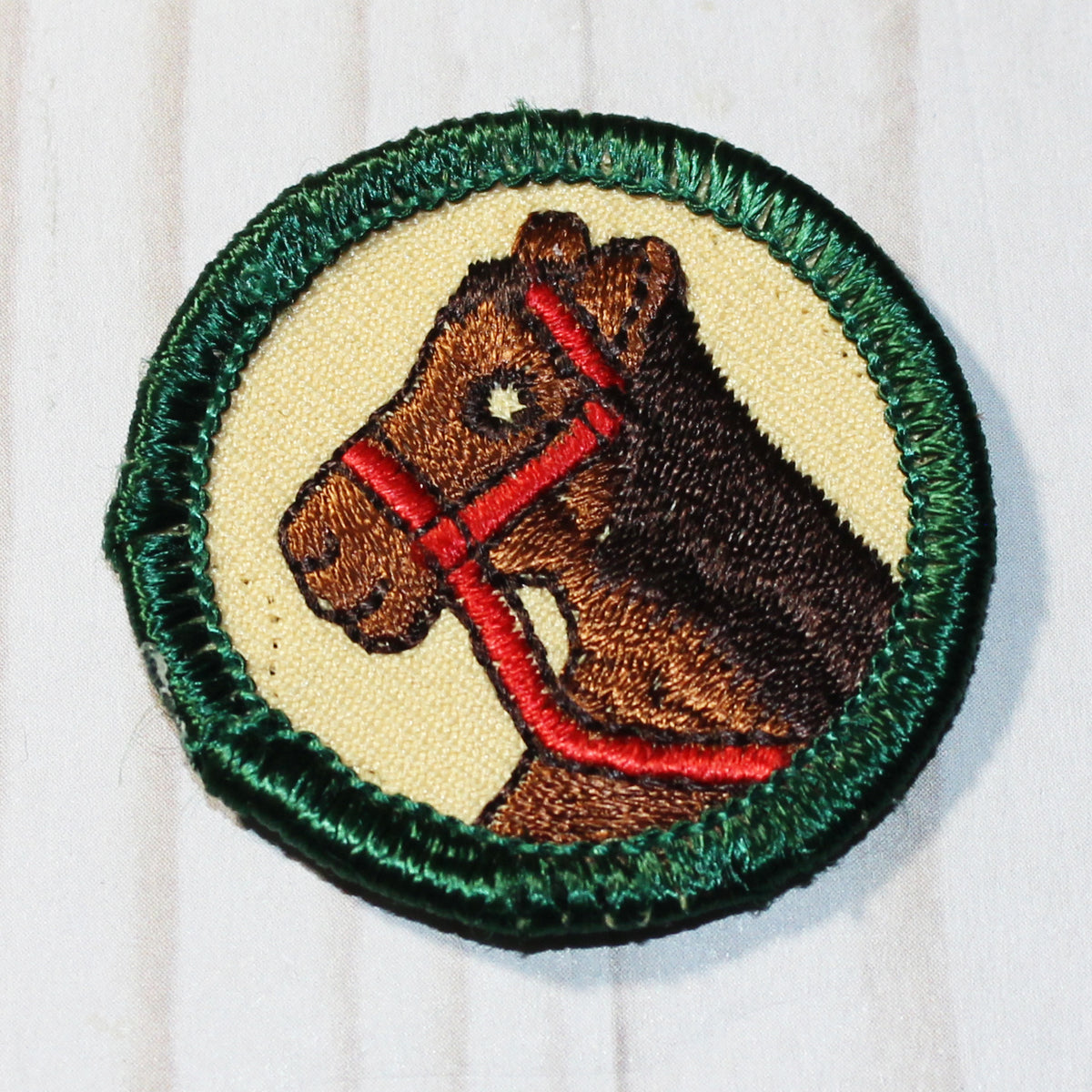 Horse Rider (Green Border)