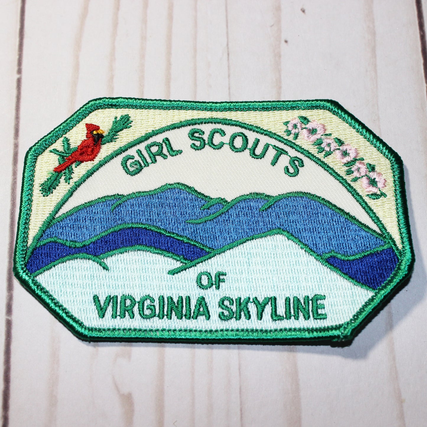 Council Patch - Virginia Skyline