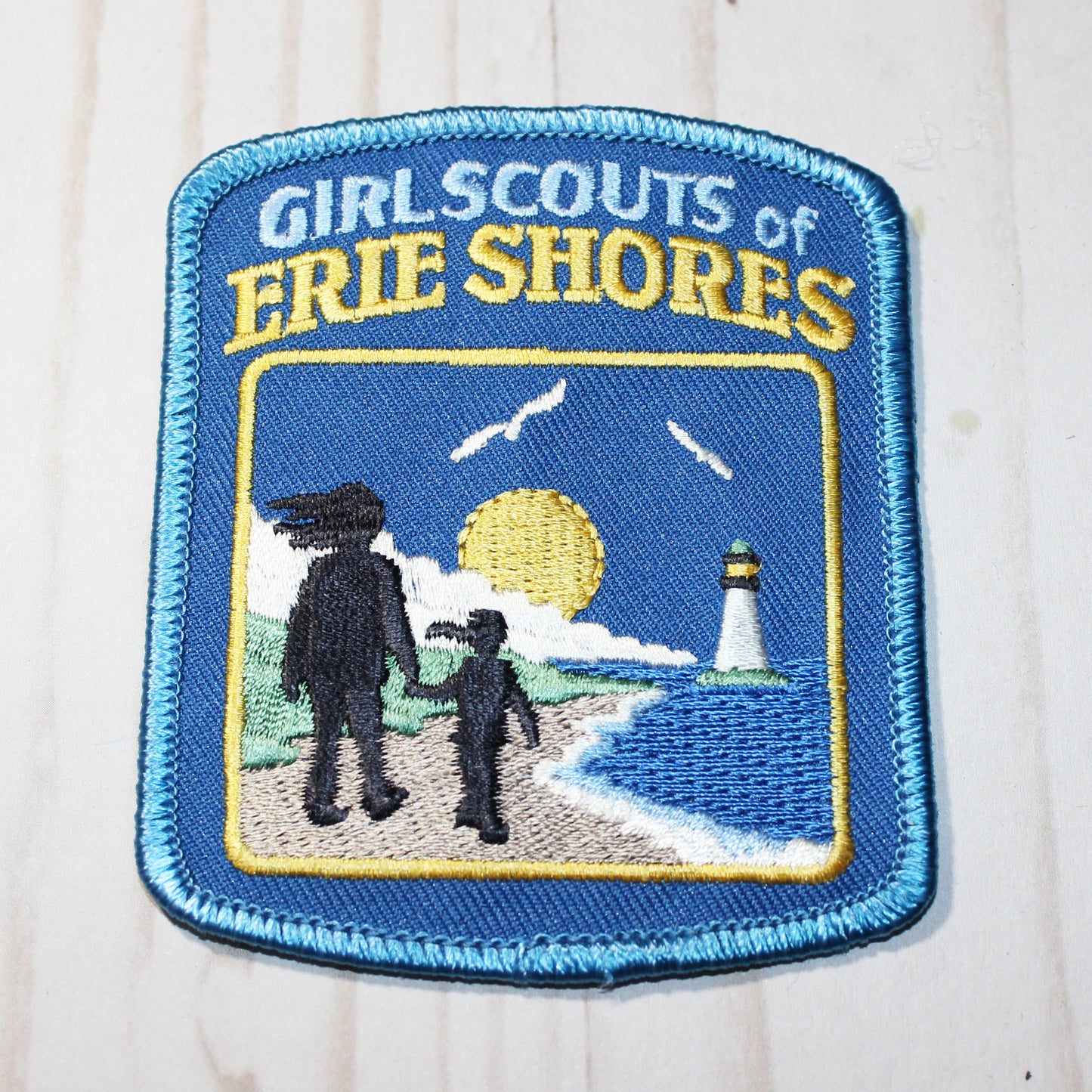 Council Patch - Erie Shores