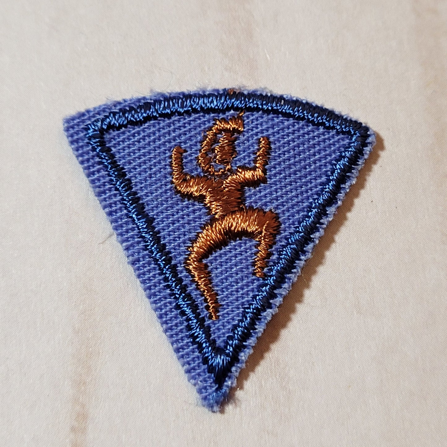 Brownie B - 3rd Year Blue