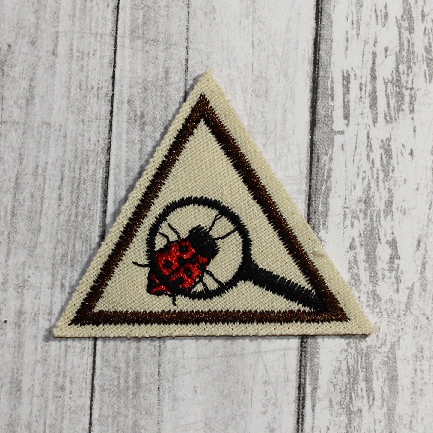 Eco-Explorer (Brown Border)