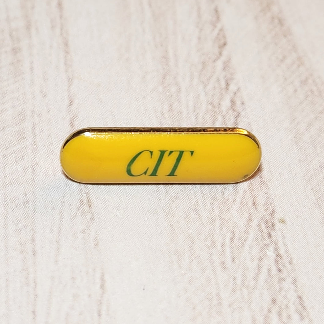 Counselor In Training Pin