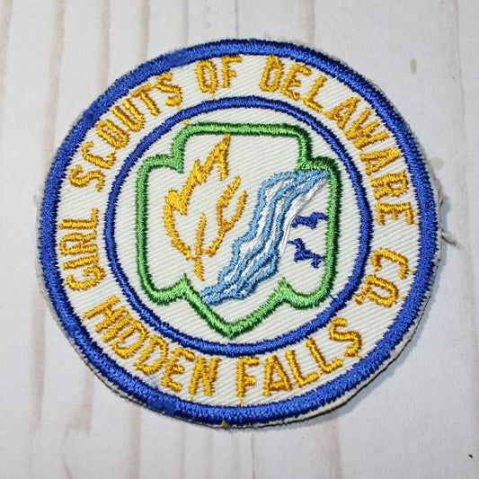 Council Patch - Delaware County