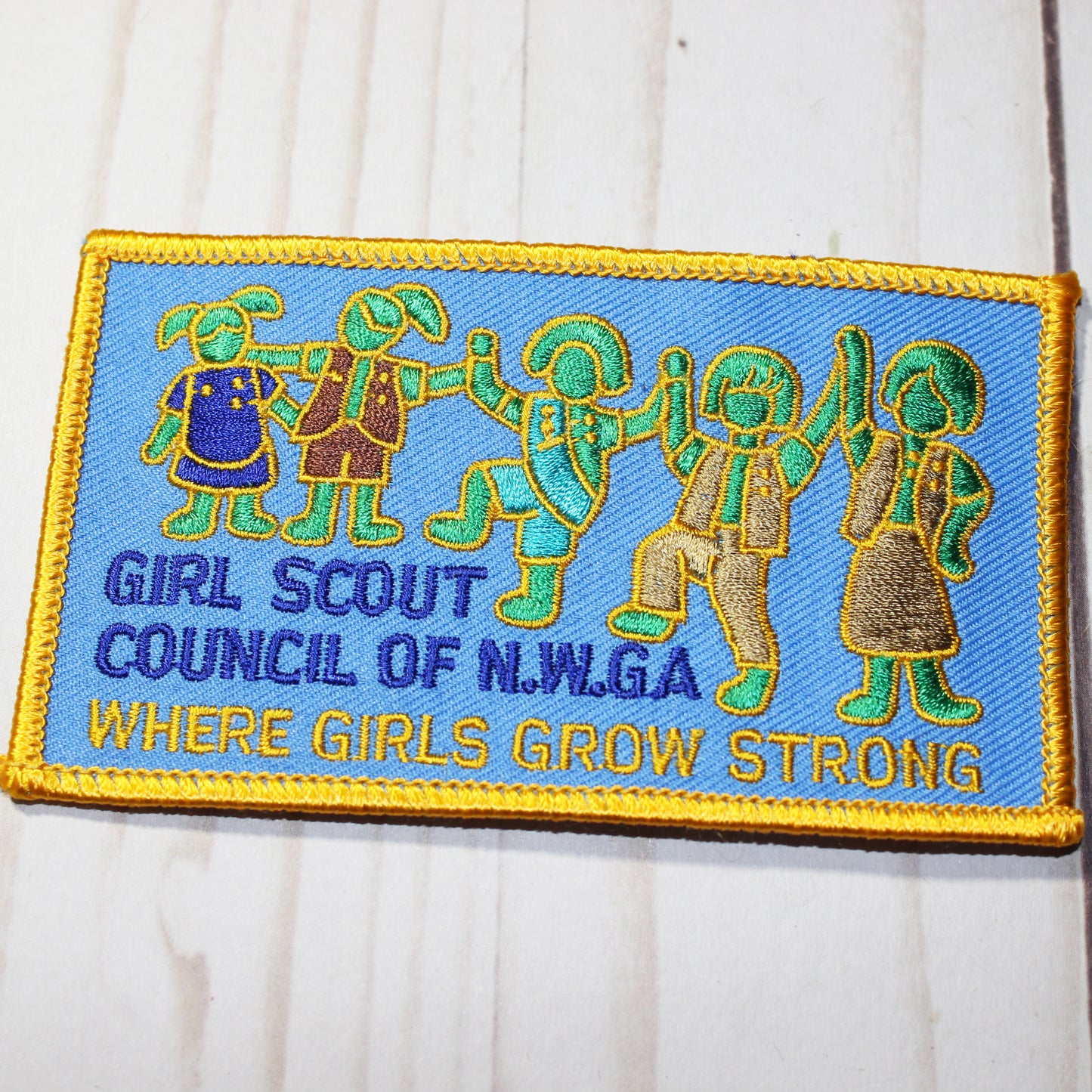 Council Patch - Northwest Georgia