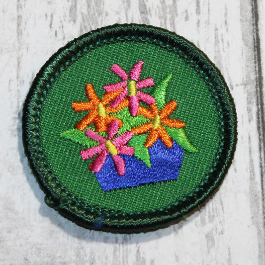 Art In The Home (Green Border)