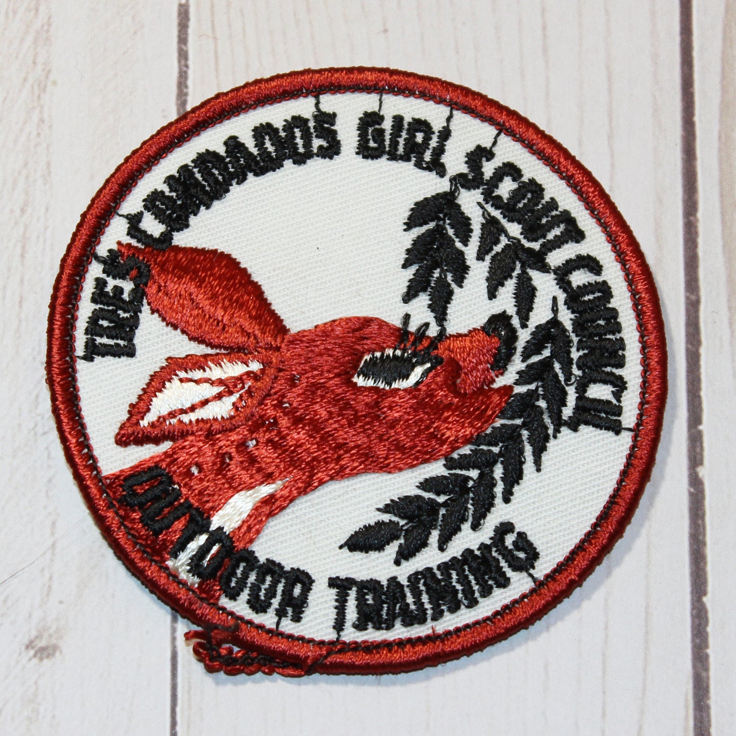 Fun Patch - Training