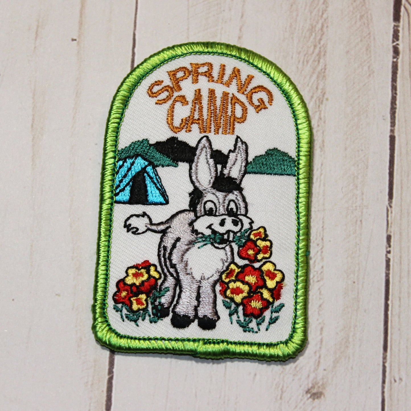 Fun Patch - Camp No Dates