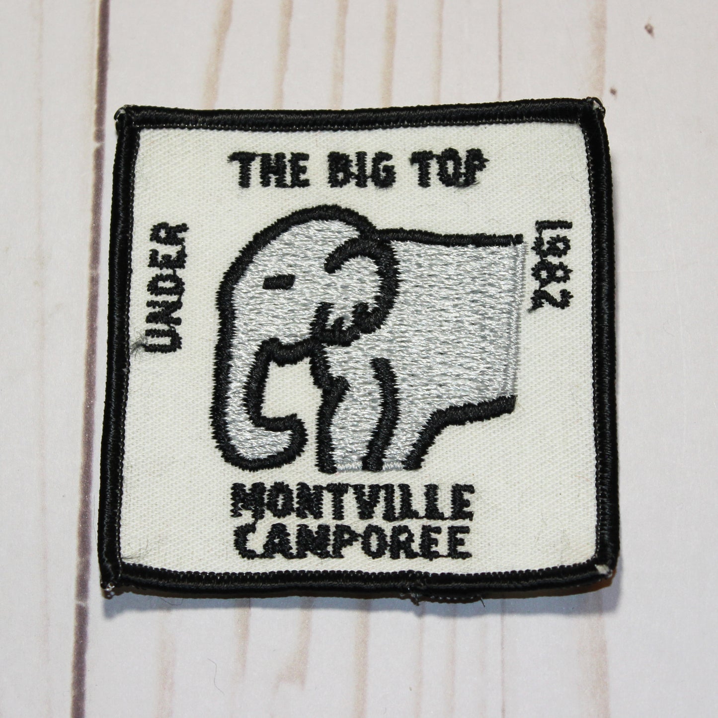 Fun Patch - Camporee